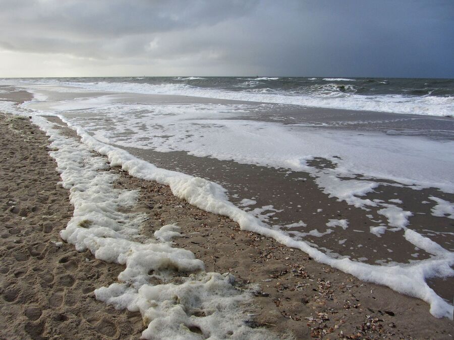 Strand